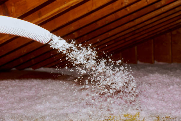 Best Insulation for New Construction  in Thatcher, AZ