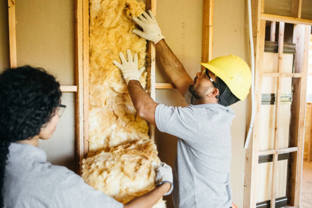 Best Crawl Space Insulation  in Thatcher, AZ