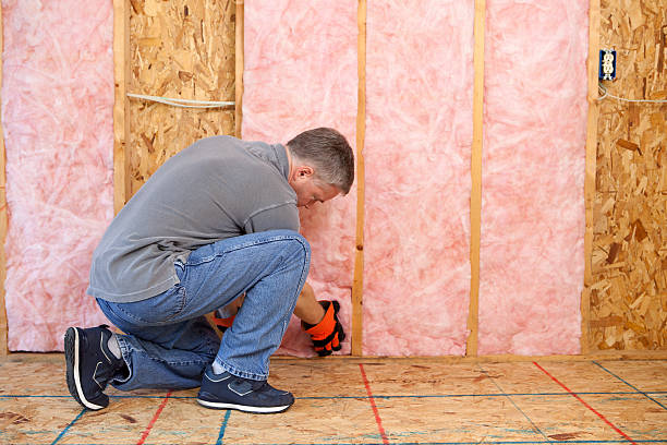 Best Local Insulation Services  in Thatcher, AZ