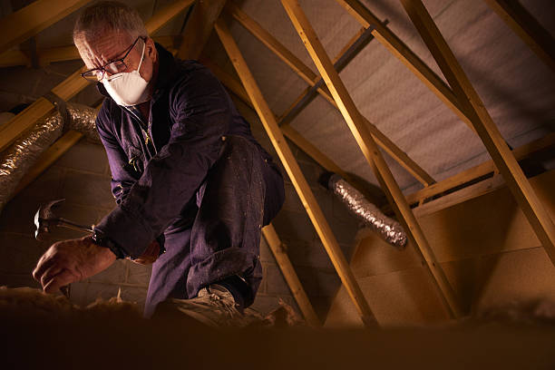 Best Insulation Contractors for Homes  in Thatcher, AZ